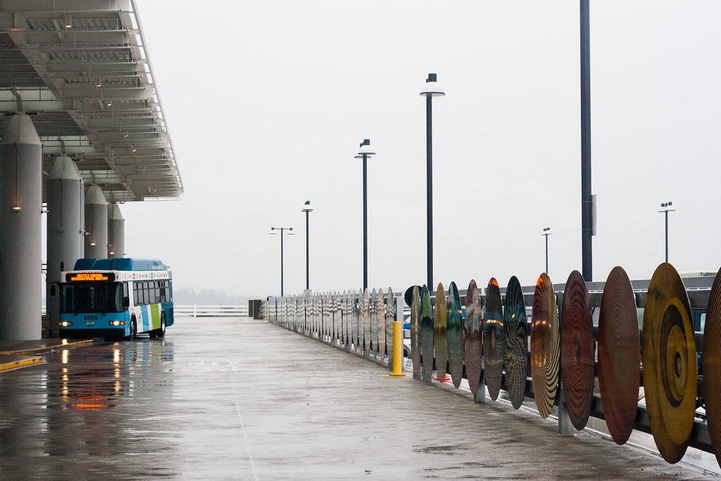 Bus Stops in the Rain: An Interview with Tom Hunley