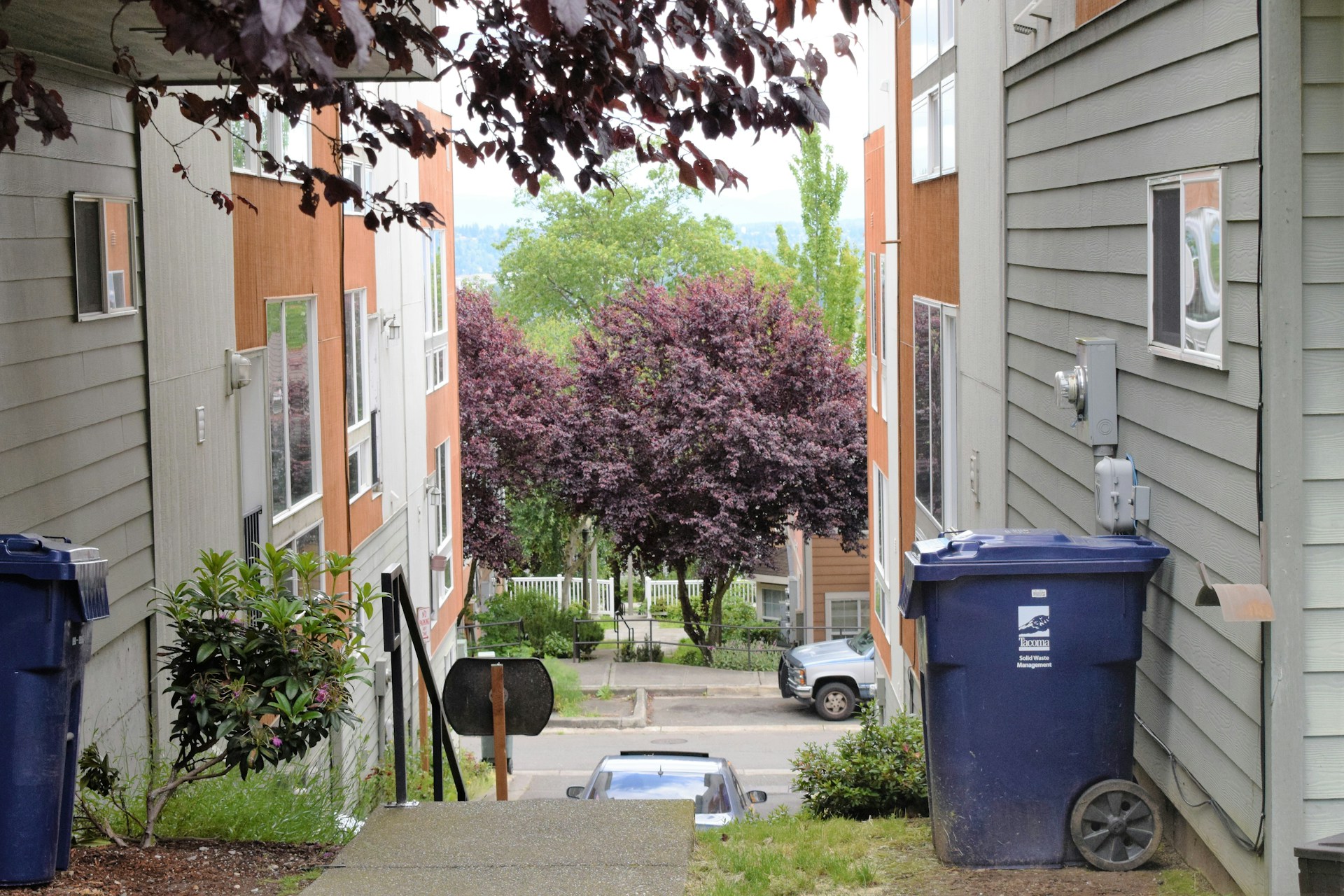 The Ballad of Iyana on 19th and Ainsworth