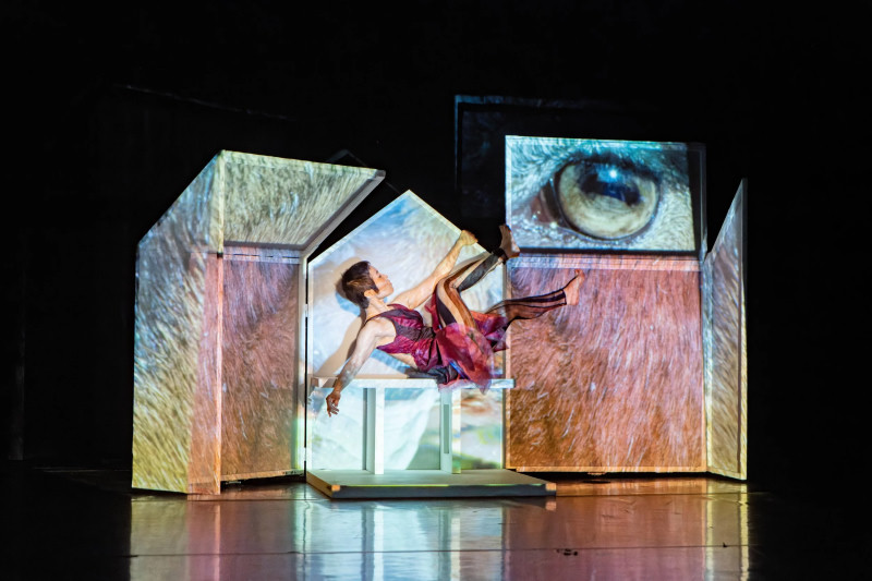 Yokai Yield Yokai: Anima Mundi