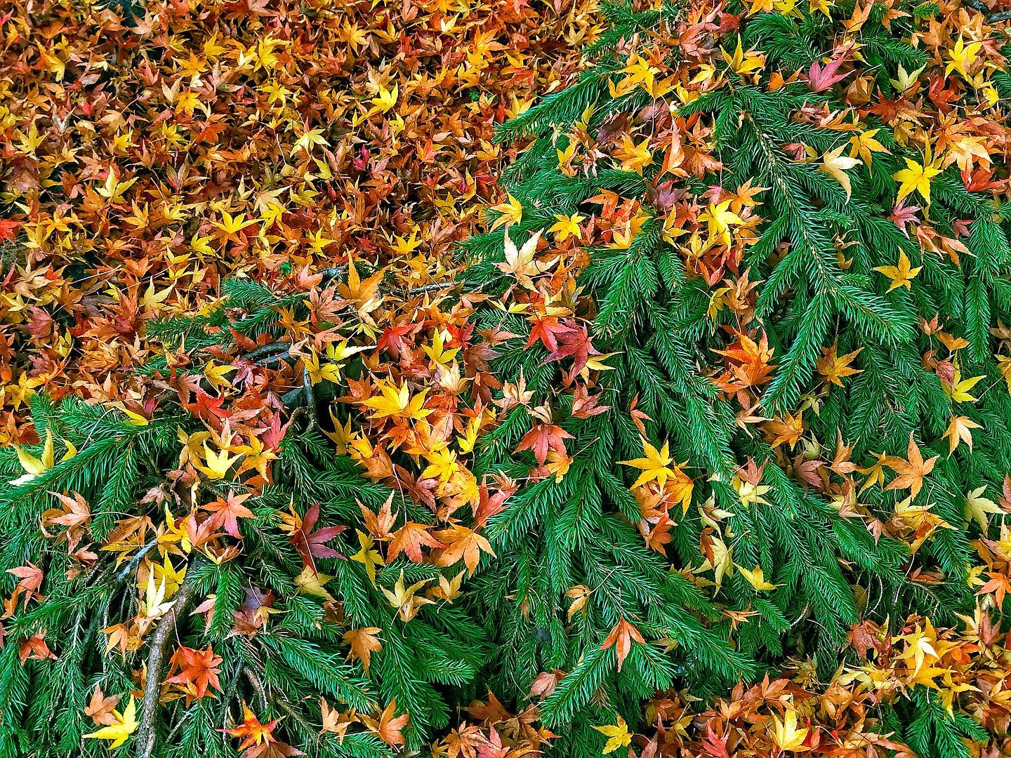 Two Poems