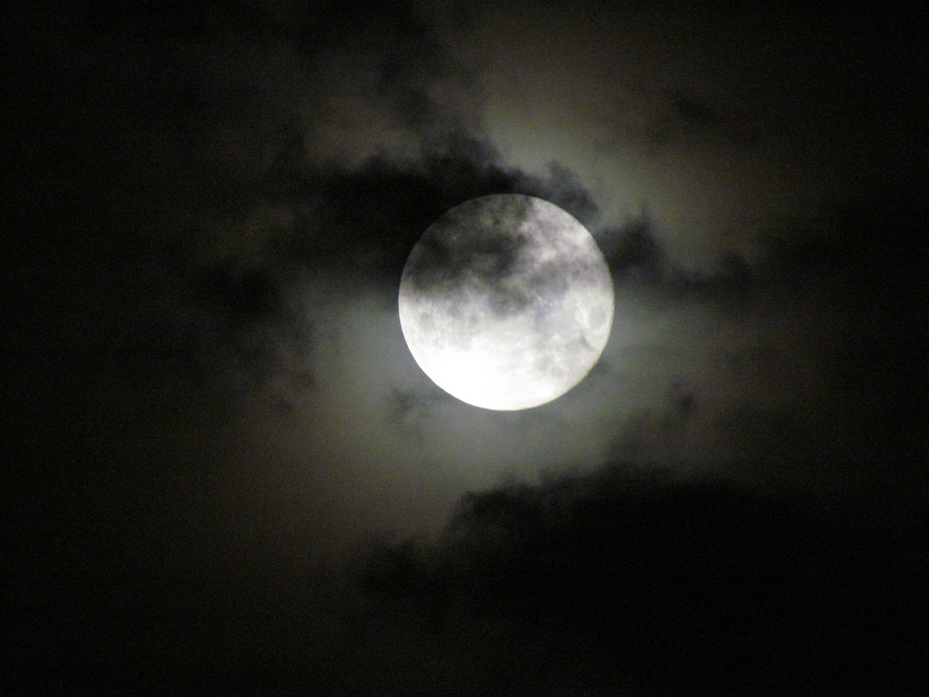 Making a Case for Moon