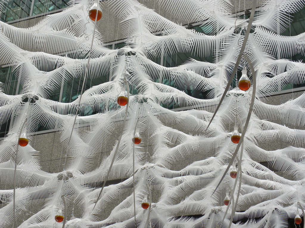 Somnambulant: To Dream of the Sargasso Sea