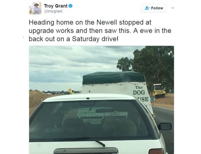 Australian police minister reports himself for using phone in car