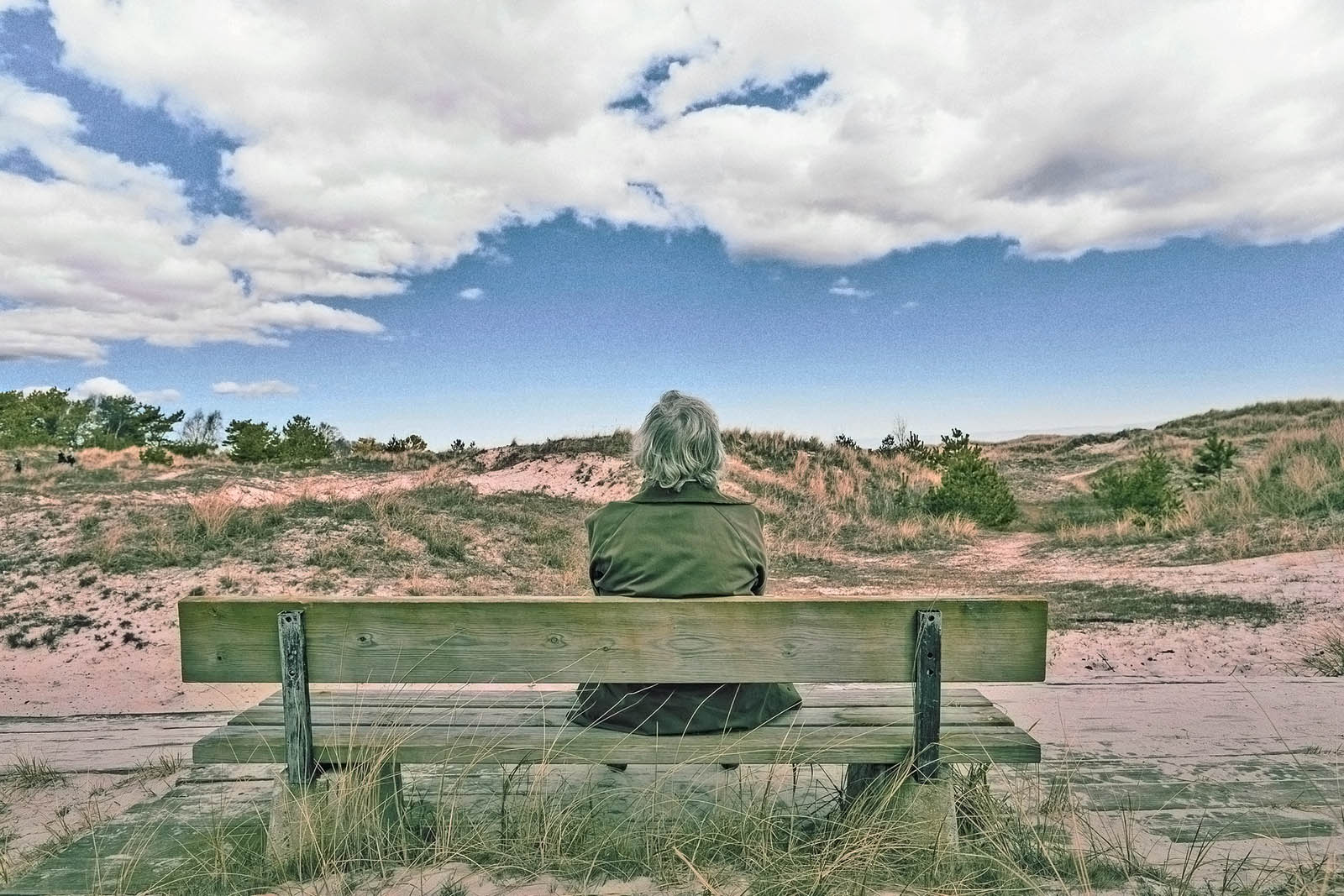 Alzheimer’s and Food