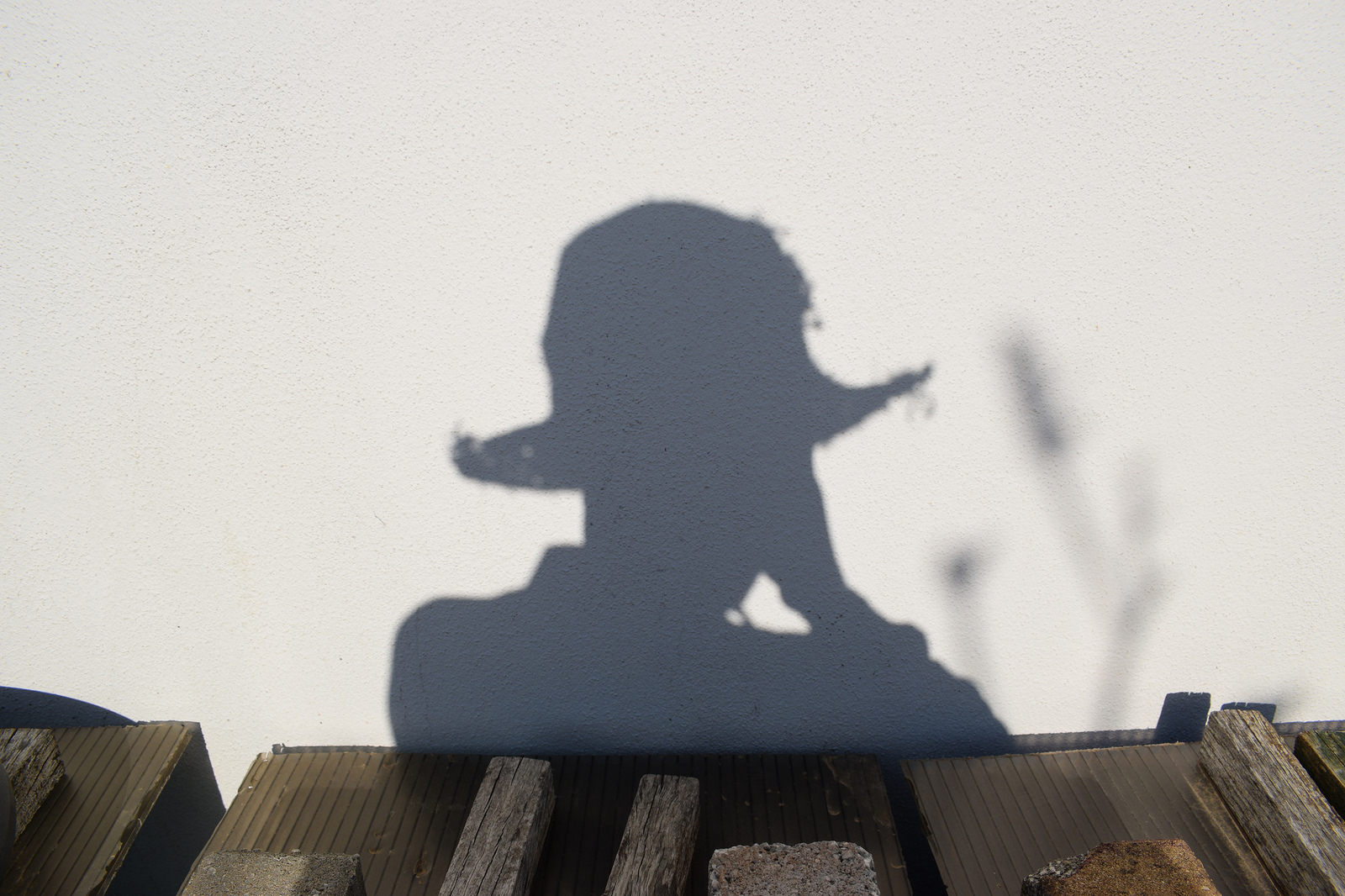 Encounters with Anonymous: News