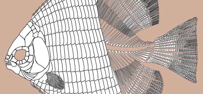 Veggievore Fish of the Triassic